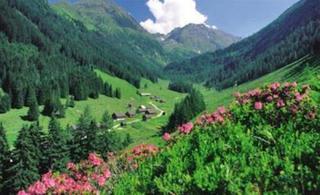 Pariente 3* Schladming